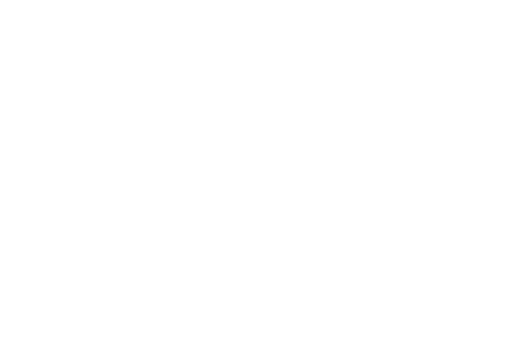 elroi developments logo